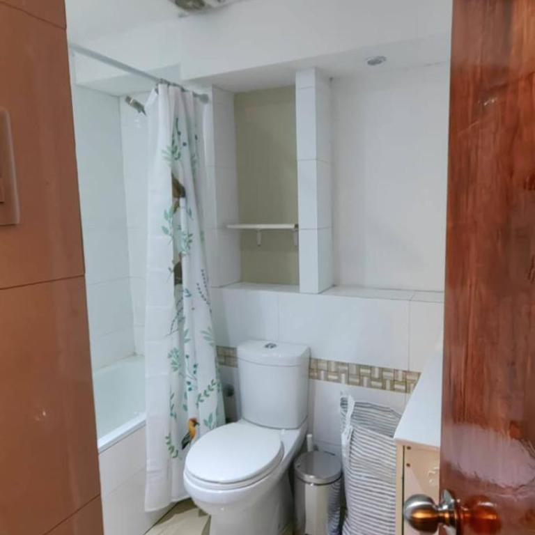Terrace Studio, Costanera Views, Los Leones Metro - Estudio con terraza - 13