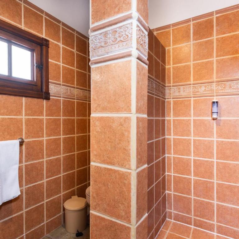 Maison rurale avec piscine chauffée et jardin à Icod de los Vinos - Villa de 1 dormitorio - 25