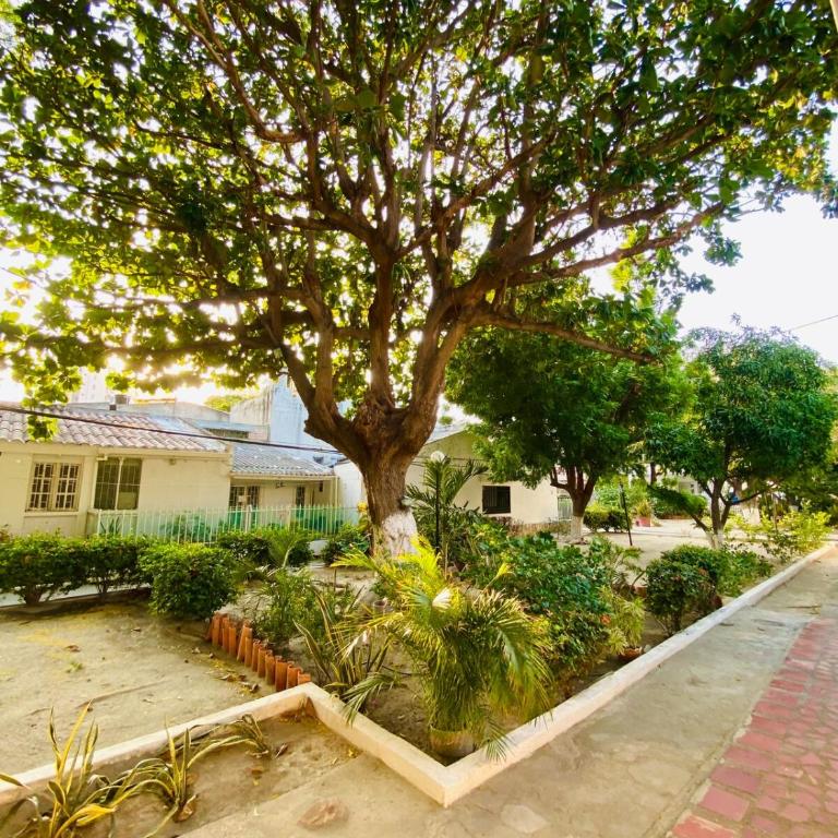 apartamento en el rodadero - Apartamento de 2 dormitorios - 13