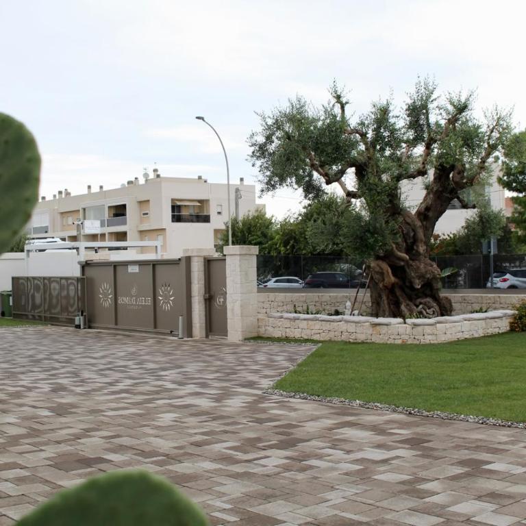 Eleia Domos - Althea Homes - One-Bedroom Apartment - 48