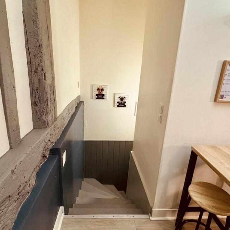 Appt Centre Historique Rouen pour 2 personnes - Appartement 1 Chambre - 10