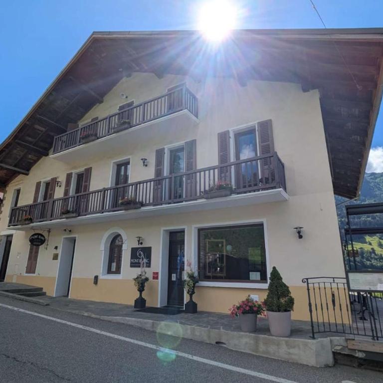 Appartement chaleureux, animaux OK, vue Mt Blanc - Appartamento con 2 Camere da Letto - 1