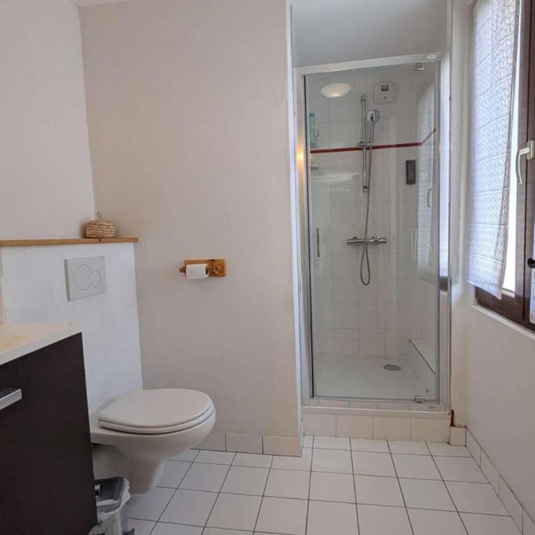 Appartement chaleureux, animaux OK, vue Mt Blanc - Appartamento con 2 Camere da Letto - 10