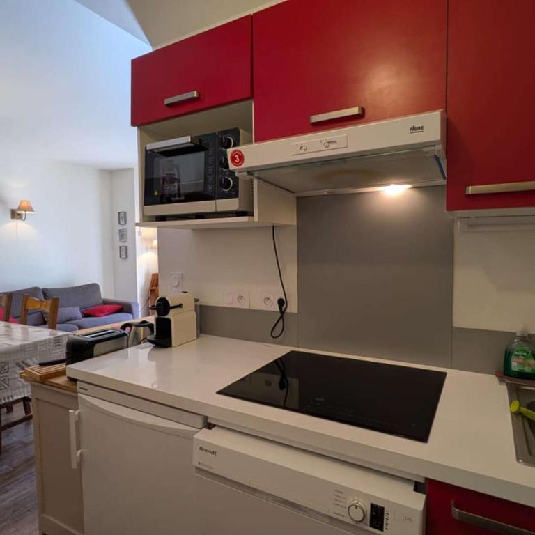 Appartement chaleureux, animaux OK, vue Mt Blanc - Appartamento con 2 Camere da Letto - 13