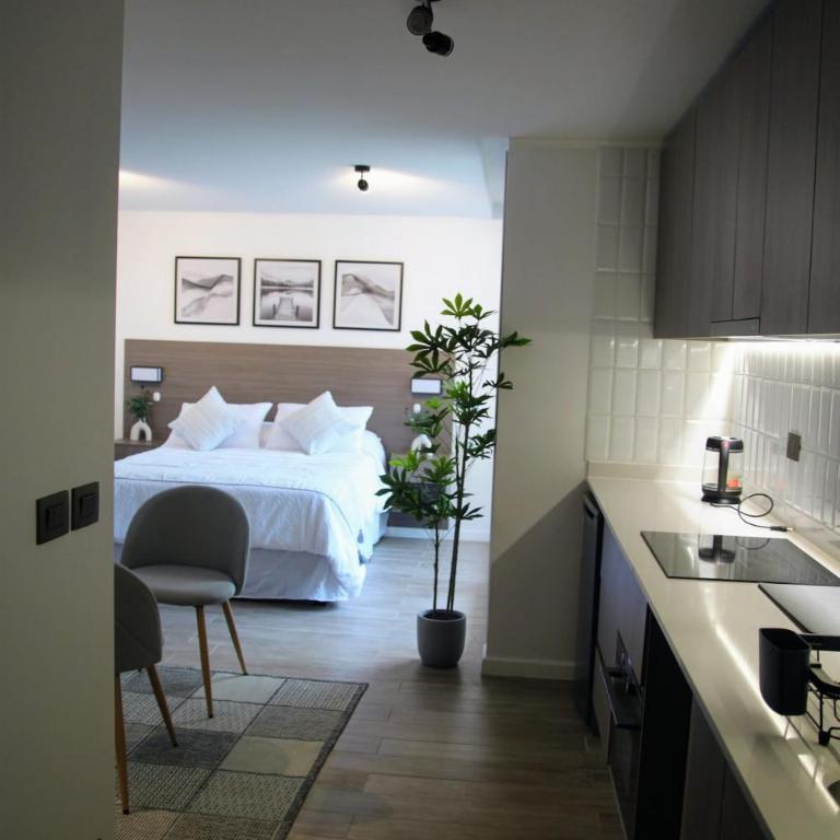 Estudio amplio de 30 m2 con aire acondicionado en Ñuñoa - Apartamento de 1 dormitorio - 4