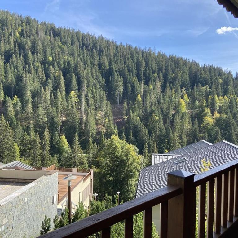 Appartement T3 avec WIFI - 4/5 pers., balcon sud - Appartamento con 2 Camere da Letto - 1