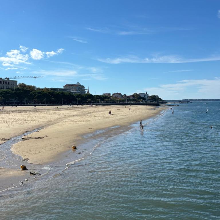 Appartement T2 mezzanine plein centre d'Arcachon - Appartamento con 2 Camere da Letto - 29