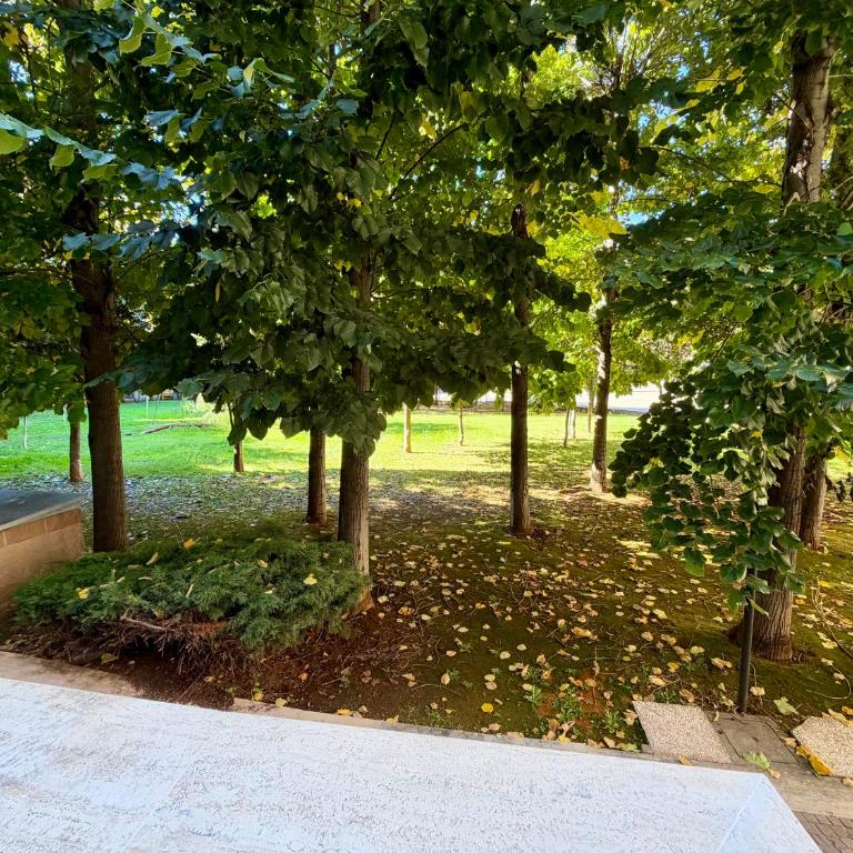 Giardini di Marzo Casa Vacanza Eur - Apartamento de 1 dormitorio con jardín - 18