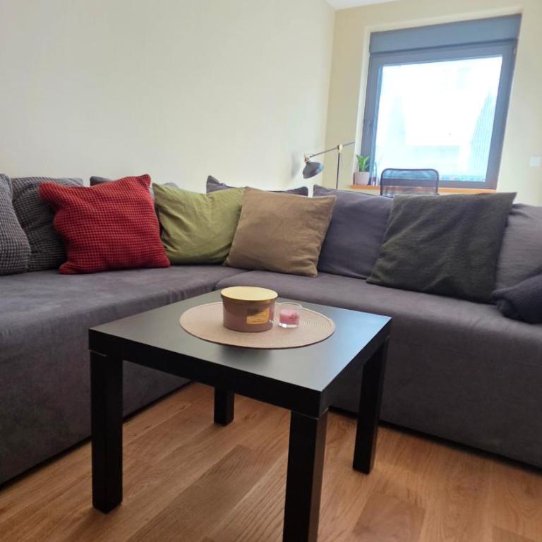 Bilećka Park Apartment - Apartment mit 1 Schlafzimmer - 9