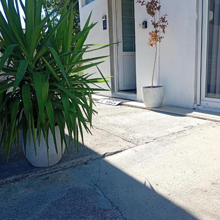 Green Garden - Two-Bedroom Apartment - 32