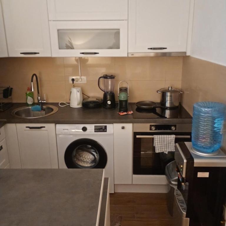 Green Garden - Two-Bedroom Apartment - 35