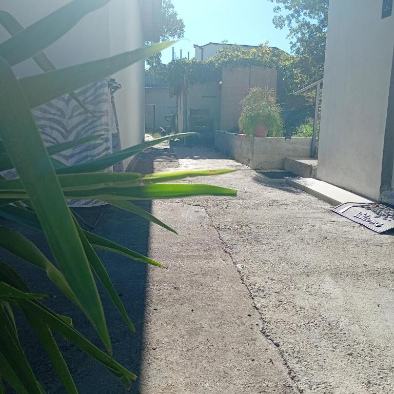 Green Garden - Two-Bedroom Apartment - 48