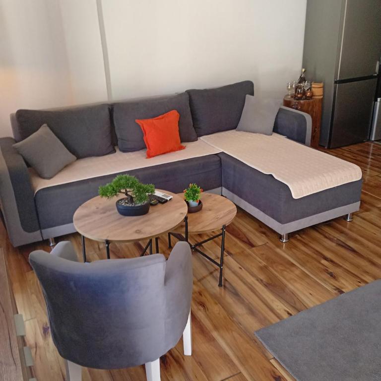 Green Garden - One-Bedroom Apartment - 2