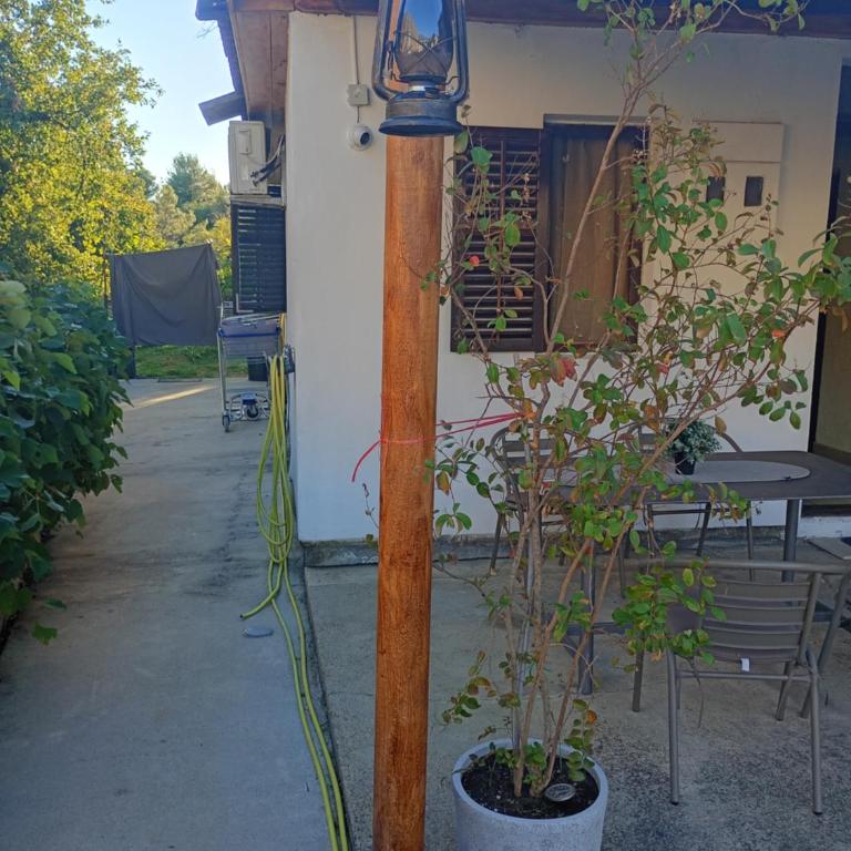 Green Garden - Two-Bedroom Apartment - 51