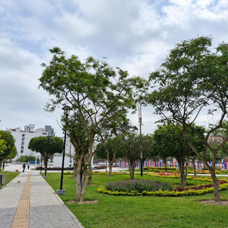 Lindo departamento completo en Surquillo - One-Bedroom Apartment - 29