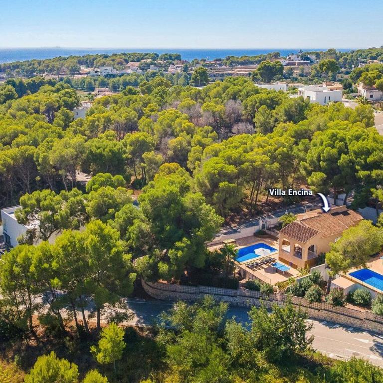 Villa Encina by Villa Plus - Villa - 19