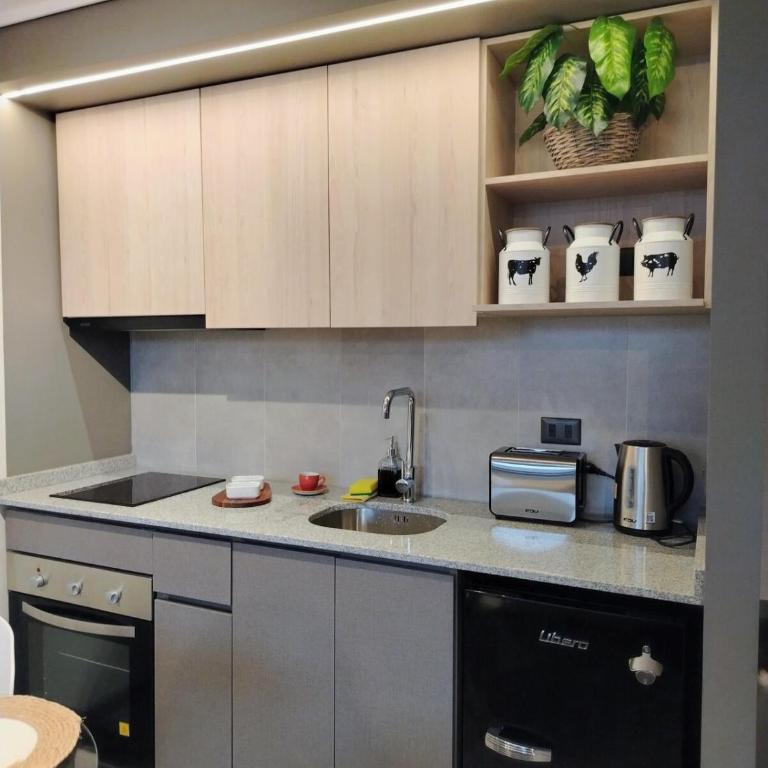 Estudio Gris Moderno-Cómodo frente Movistar Arena - Apartamento de 1 dormitorio - 6