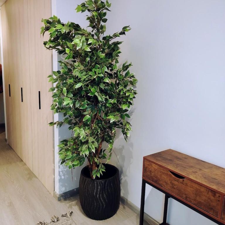 Estudio Gris Moderno-Cómodo frente Movistar Arena - Apartamento de 1 dormitorio - 12