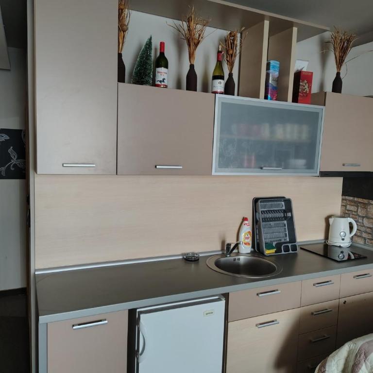 Apartman Milmari B5, Pogled - Apartman sa 1 Spavaćom Sobom - 19