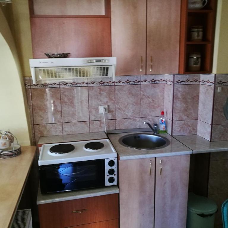 Villa Dama & Dubravka - Apartman sa Balkonom - 13