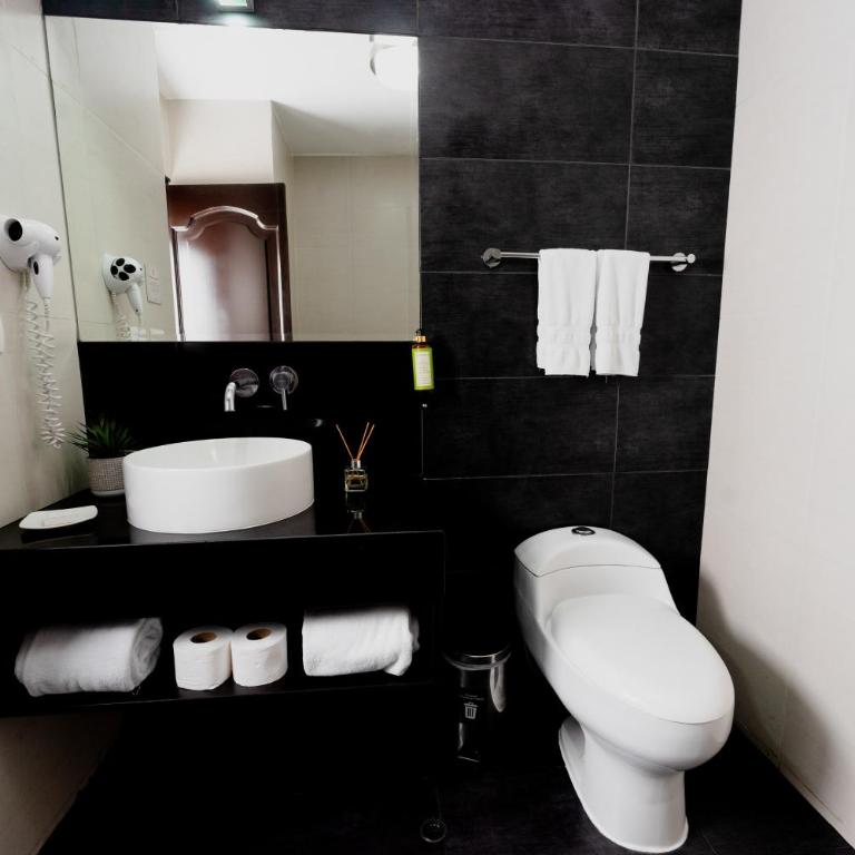 Hotel El Gran Marques - Habitación Estándar con cama grande - No fumadores - 2