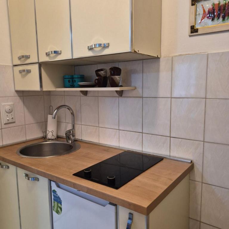 Apartman Zvjezdana Dolina - Studio Apartment with Balcony - 6