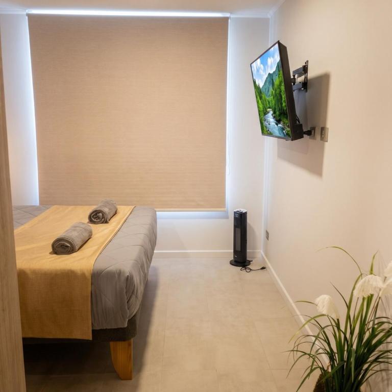 Studio Near Metro Irarrazaval y Barrio Italia - Standard Studio - 9