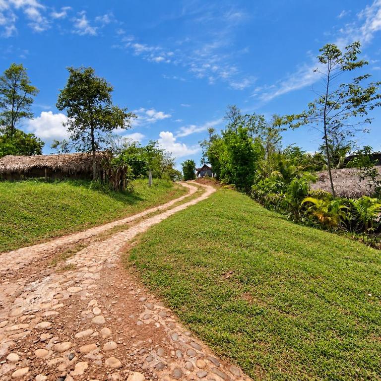 Tarapoto Relax or Work Nomad Wifi Starlink - Two-Bedroom House - 34