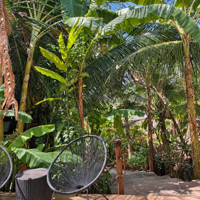 Tarapoto Relax or Work Nomad Wifi Starlink - Two-Bedroom House - 19