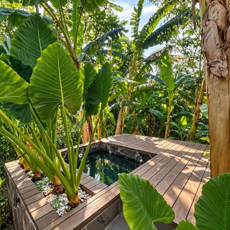 Tarapoto Relax or Work Nomad Wifi Starlink - Two-Bedroom House - 7