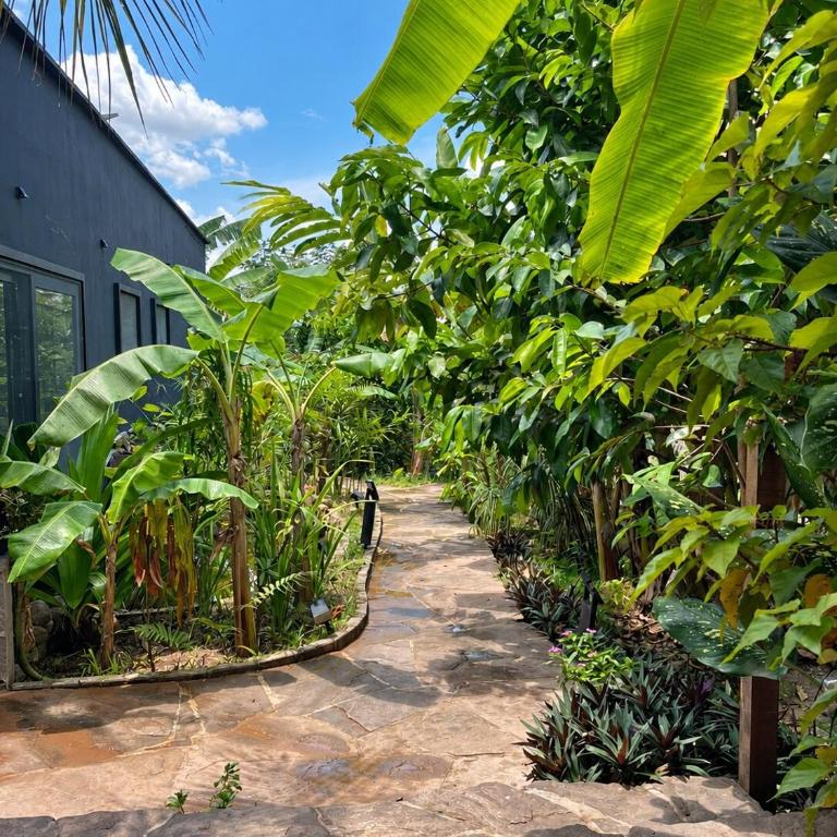 Amazon Paradise WiFi Starlink Work or Relax - Casa de 3 dormitorios - 49
