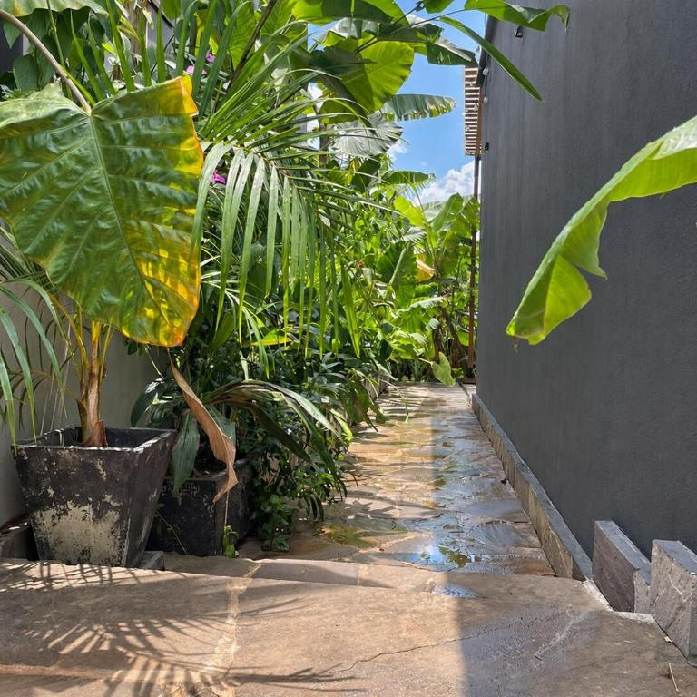 Amazon Paradise WiFi Starlink Work or Relax - Casa de 3 dormitorios - 47