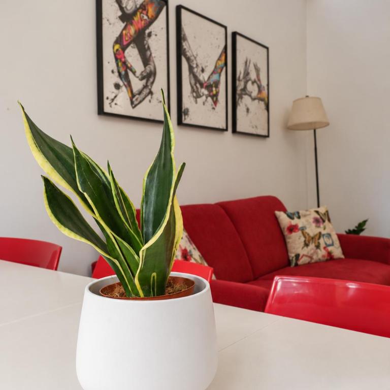 Casilina 403 Spacious Apartment 3BDR and 3 BATH - Appartamento Deluxe con 3 Camere da Letto - 2