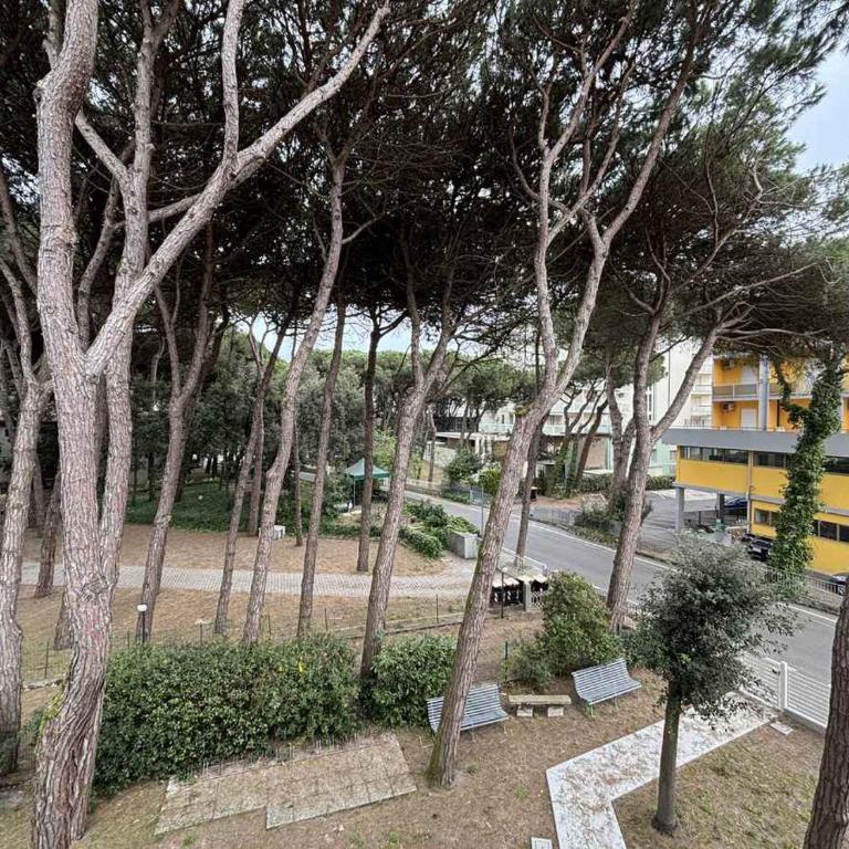 Apartment with A - C in Rosolina Mare 58053 - Appartamento - 31