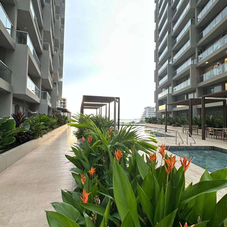 Hotel Apartamento en Santa Marta Bello Horizonte 1111 - One-Bedroom Apartment - 4