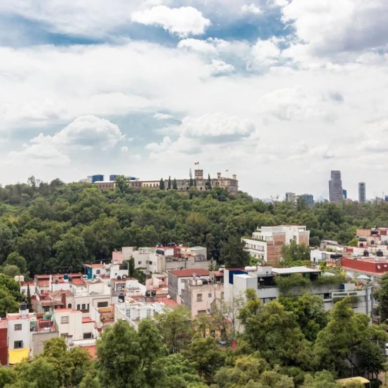 Myla Girasol Condesa - Studio Supérieur - 18