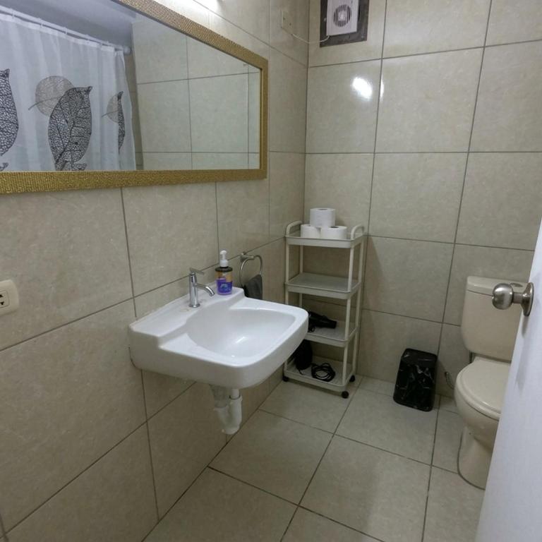 Well-lit apartment in the heart of Lima - Apartamento de 2 dormitorios - 37
