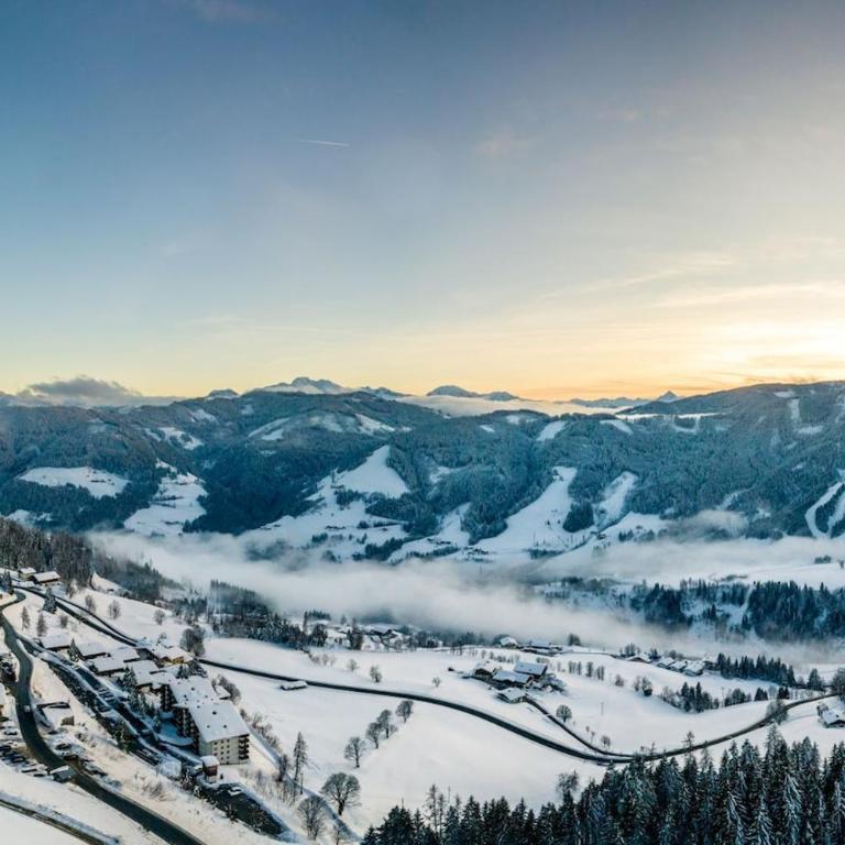 Dolomite Refuge Apartment with Balcony and Easy Slope Access - Appartement Deluxe - 14