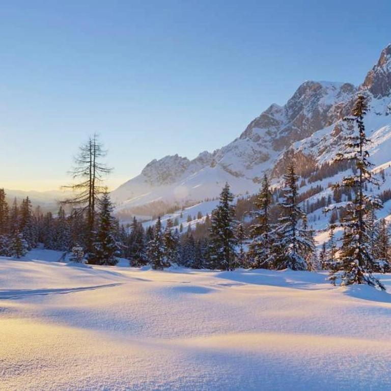 Dolomite Refuge Apartment with Balcony and Easy Slope Access - Appartement Deluxe - 11