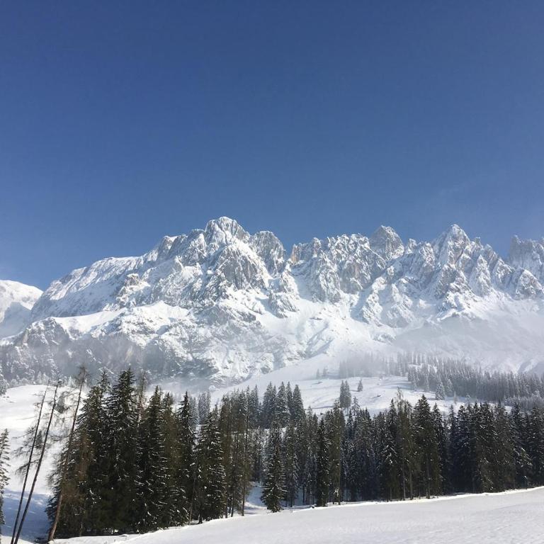 Dolomite Refuge Apartment with Balcony and Easy Slope Access - Appartement Deluxe - 4