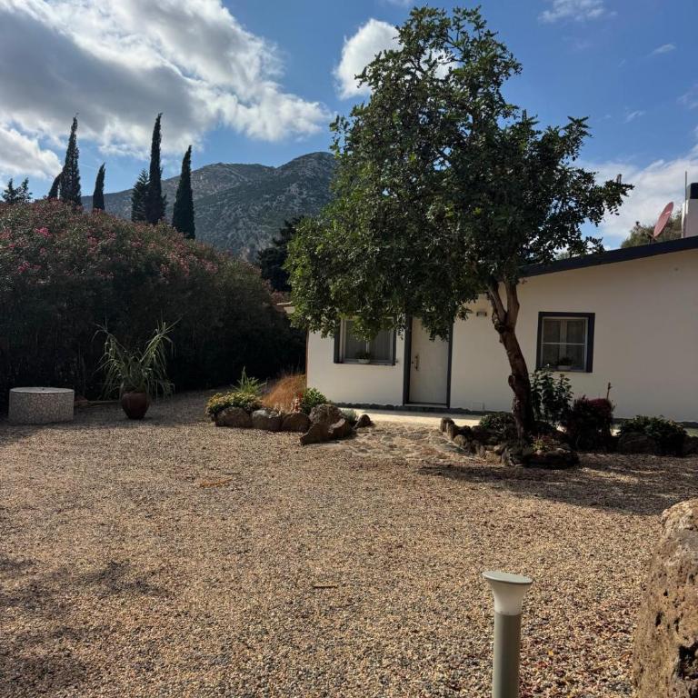 La casa di Maria - Country House a Orosei immersa nel verde con bbq e parcheggio privato - Casa con 2 Camere da Letto - 3