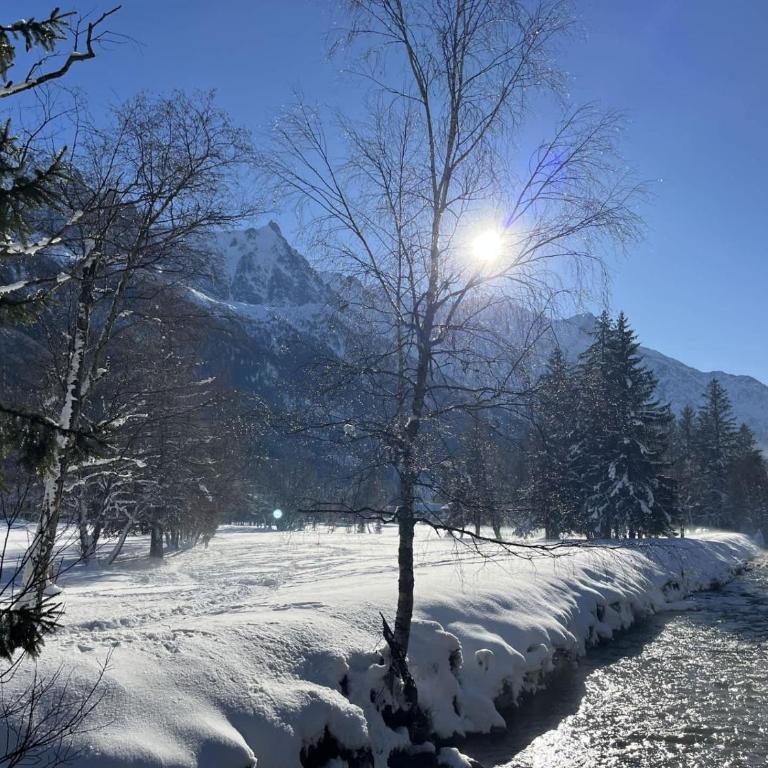 Hameau des Bois by Pangea Services - Views Nature Calm - Chalet - 25