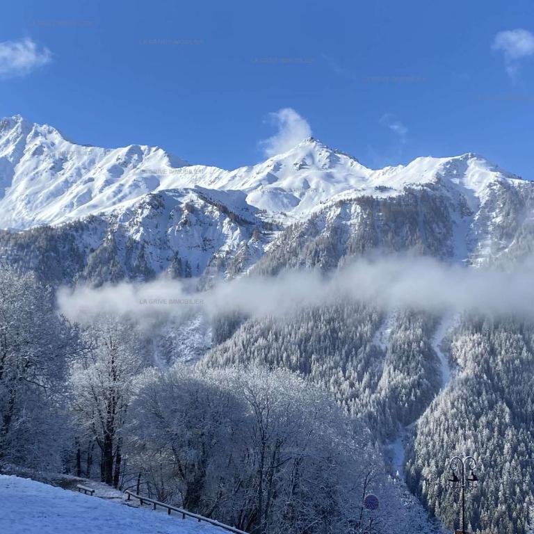 Paradiski calme et ensoleillé plan peisey - Apartment - 5