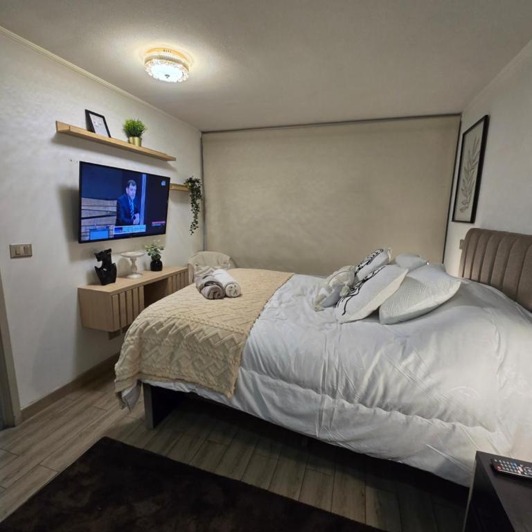 Excelente ubicacion Tranquilo departamento - One-Bedroom Apartment - 2