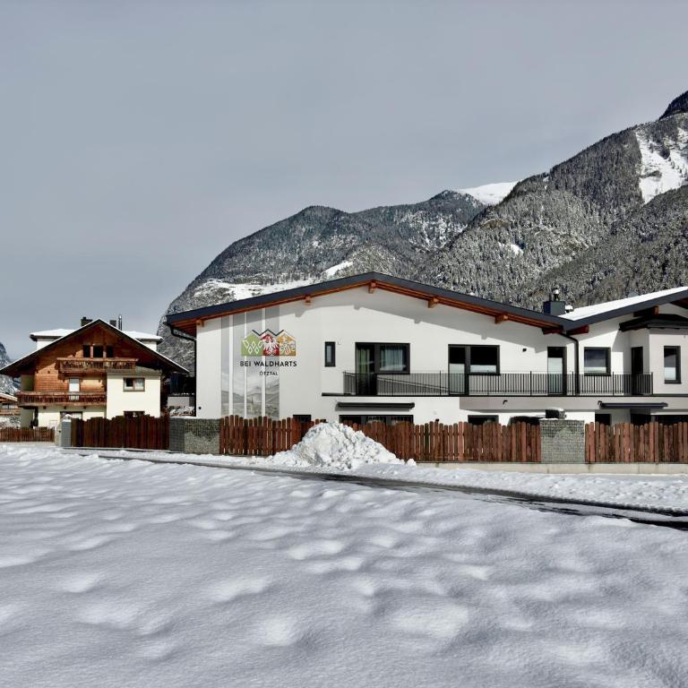 Chalet Waldhart - Ferienhaus mit 4 Zimmern - 1