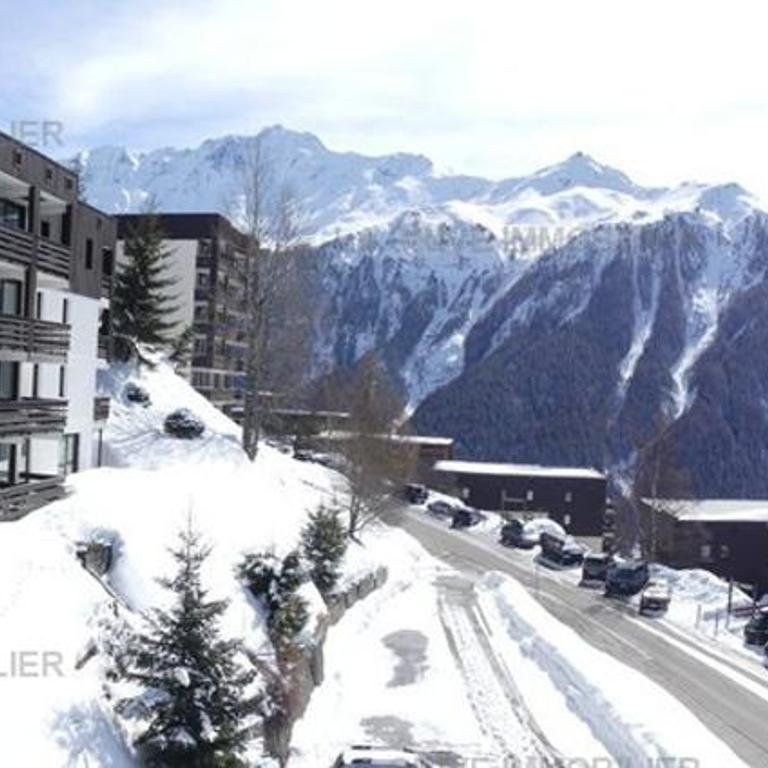 Paradiski proche des pistes plan peisey - Apartment - 2
