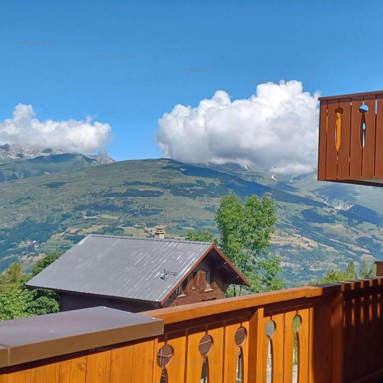 Paradiski bel appartement rénové plan peisey - Appartamento - 7