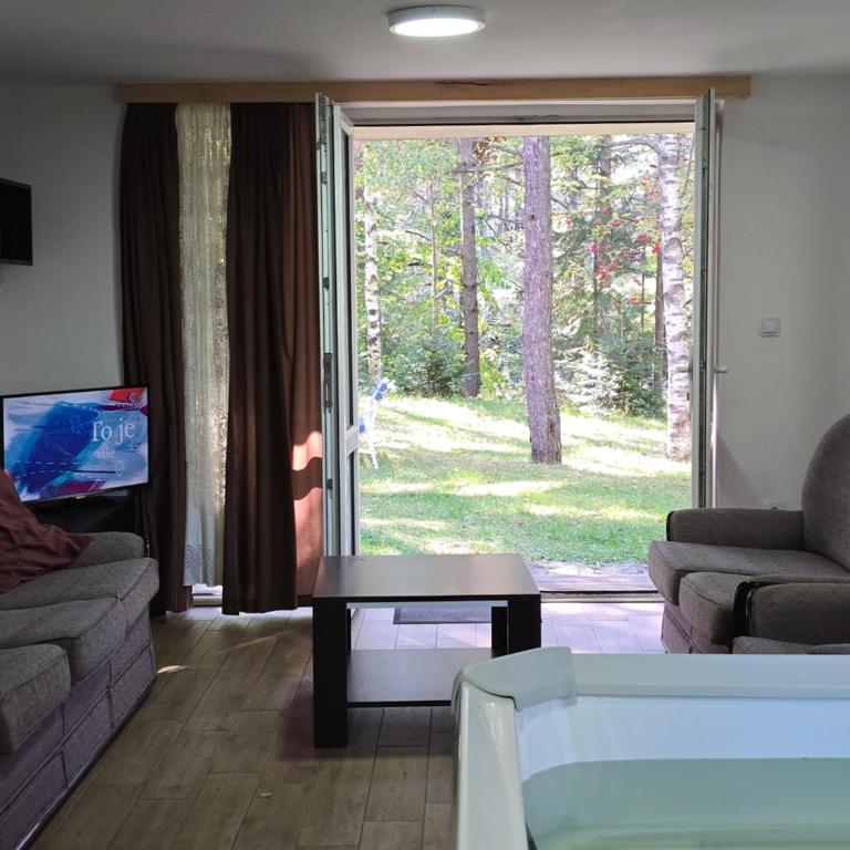 Apartmani Milutinovic - Apartman sa 2 Spavaće Sobe - 11