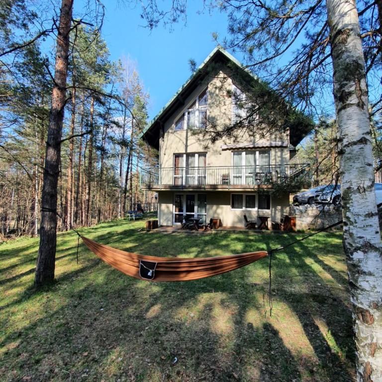 Apartmani Milutinovic - Apartman sa 2 Spavaće Sobe i Terasom - 2
