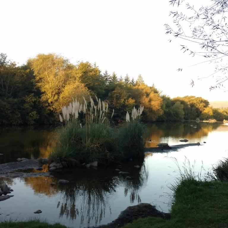 Buenavista Cabañas - Bungalow de 2 dormitorios - 25